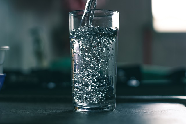 Reverse Osmosis Water and the Food Industry